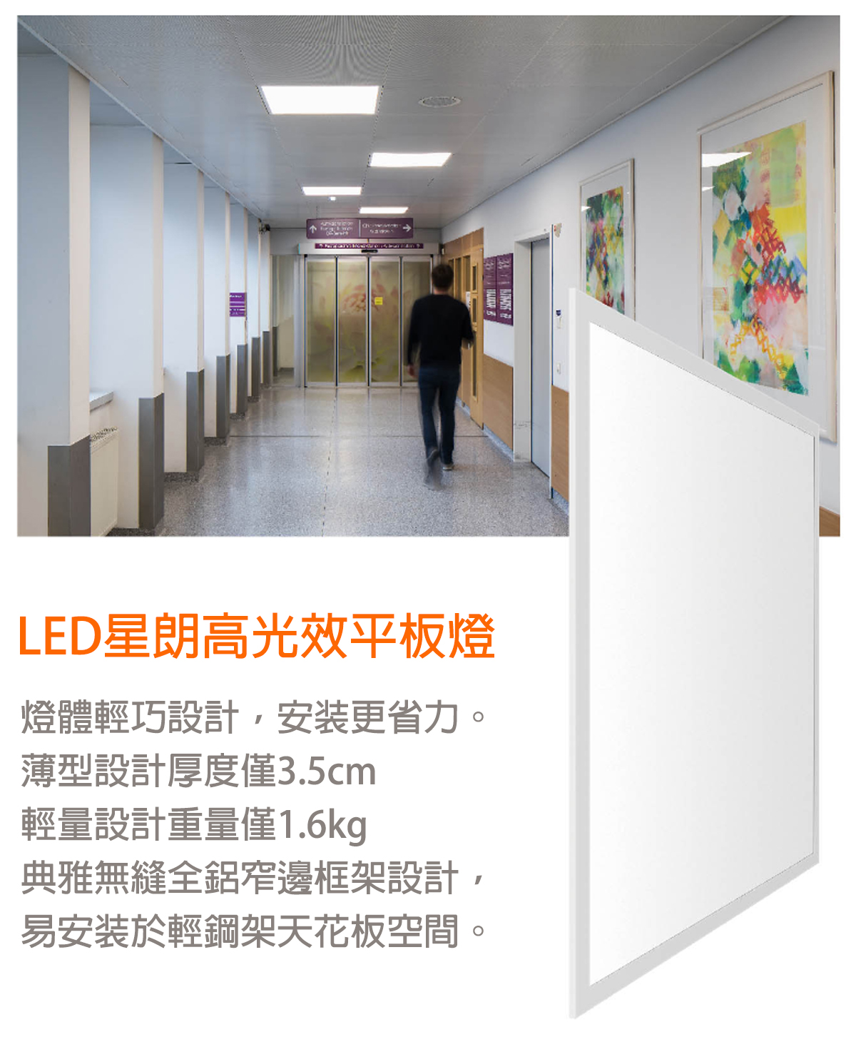 【朗德萬斯】LED 星朗 36W 平板燈 2X2尺 全電壓 歐司朗