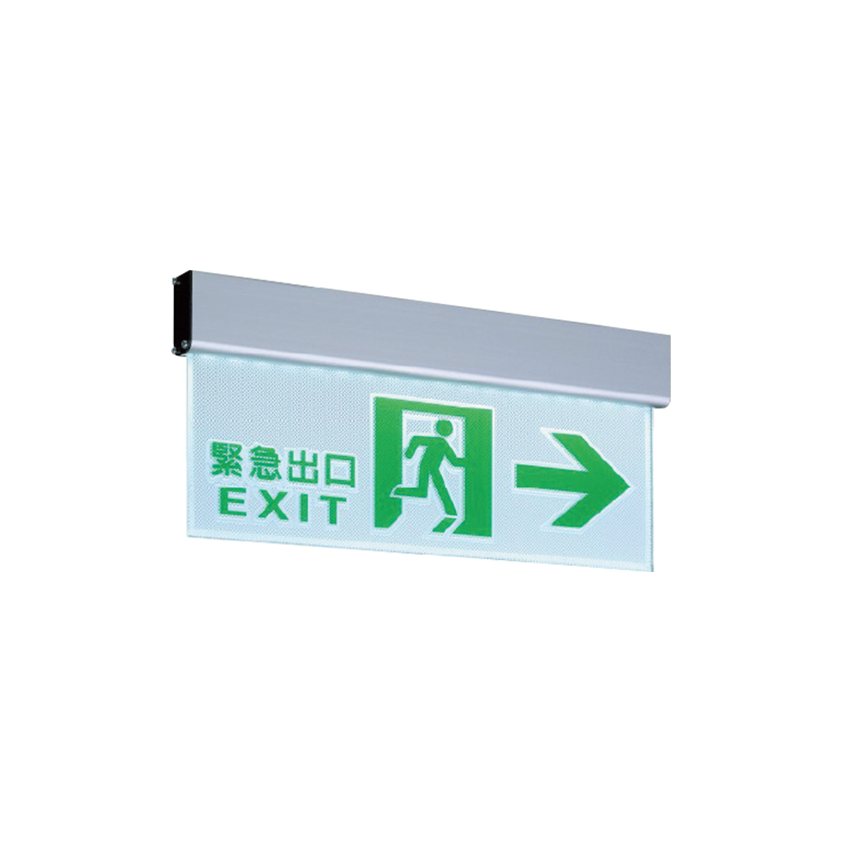 【舞光】LED 壁掛式出口方向指示燈 緊急照明燈 全電壓